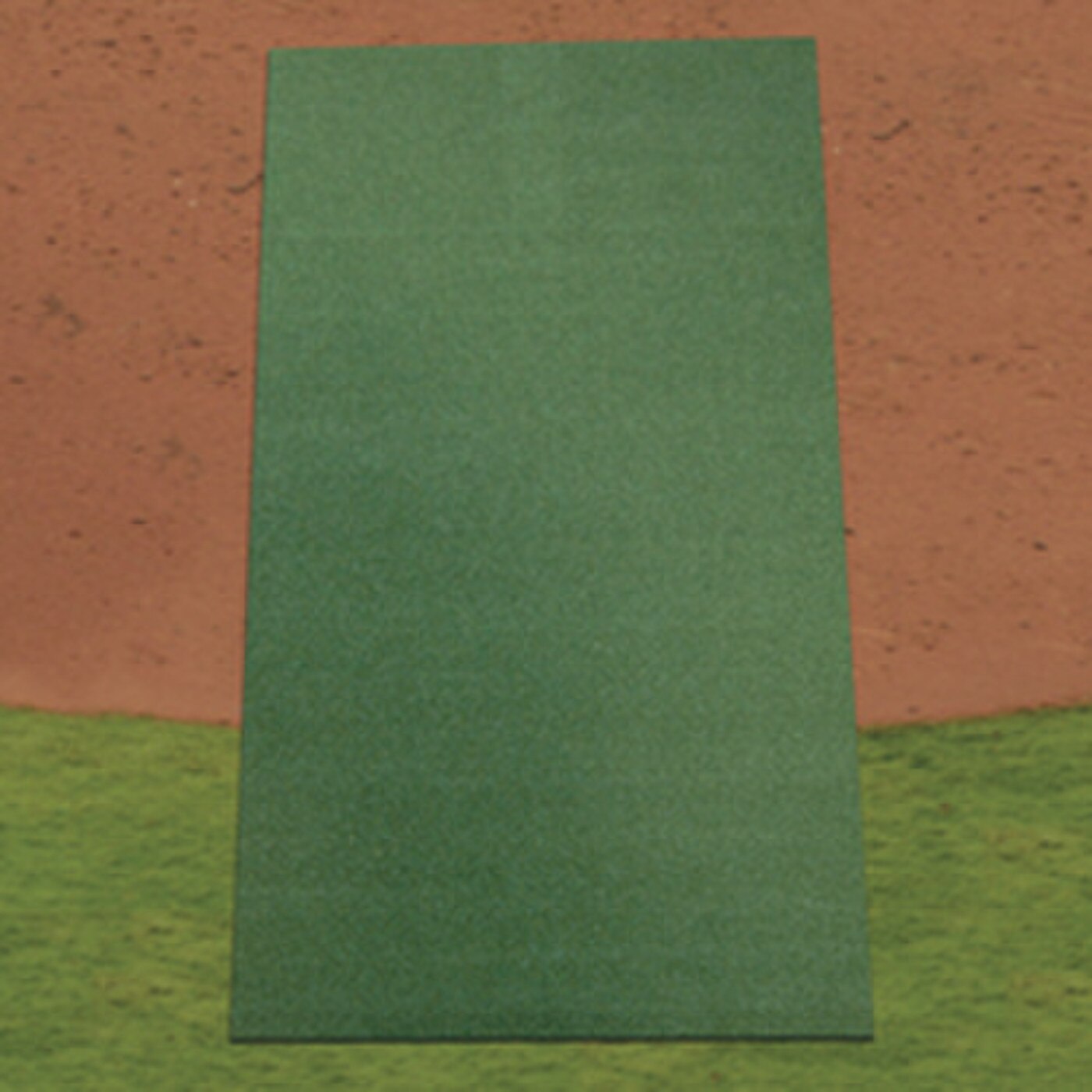 Tapis d'enclos ProTurf 12'x12'