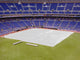 Entire Field Cover