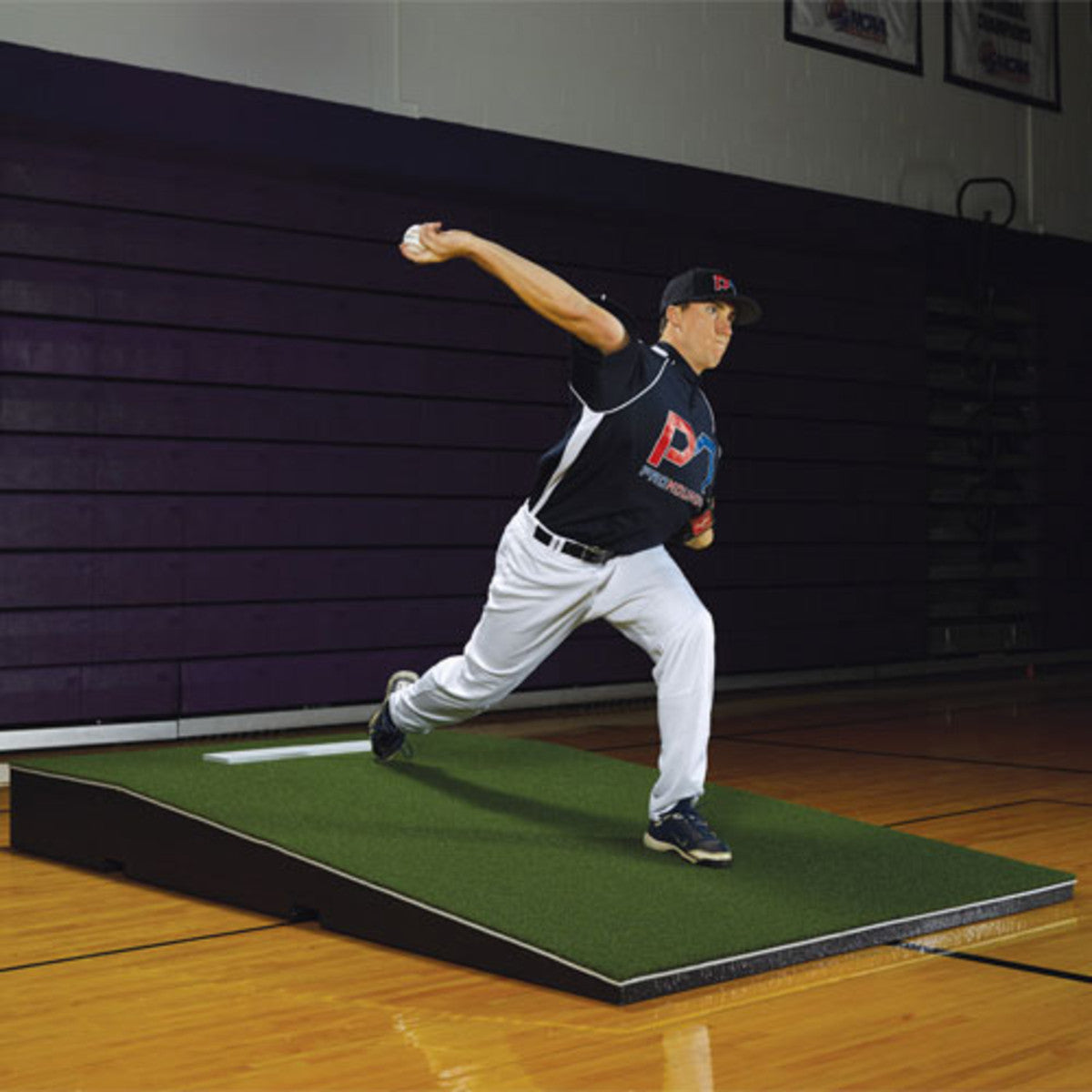 ProModel Mound