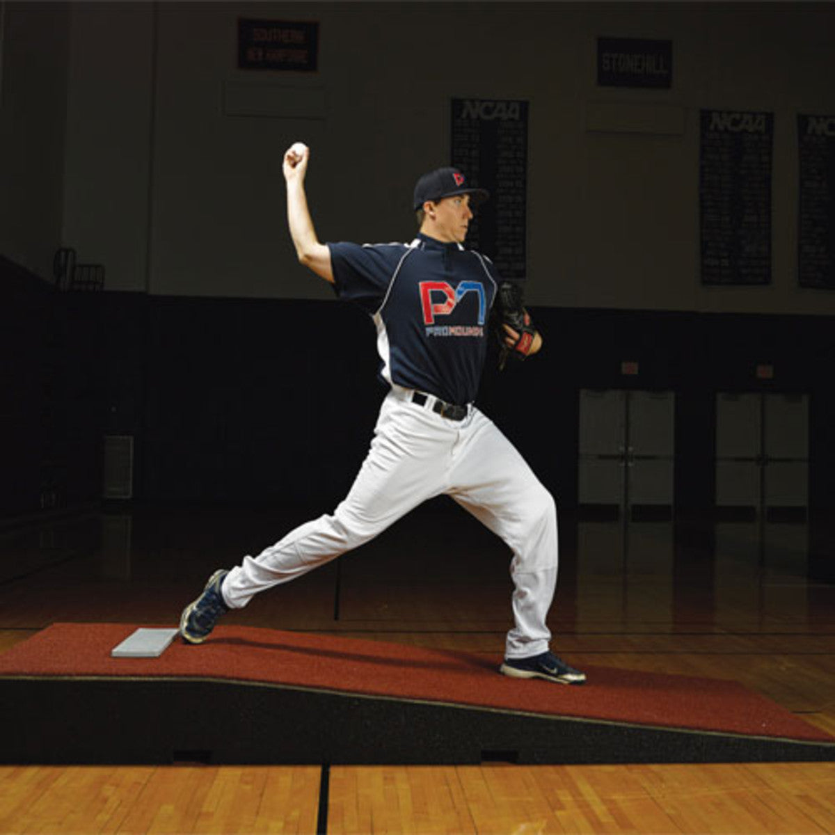 ProModel Mound