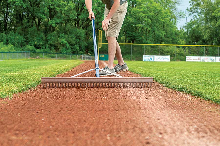 Beacon Infield Grooming Rake
