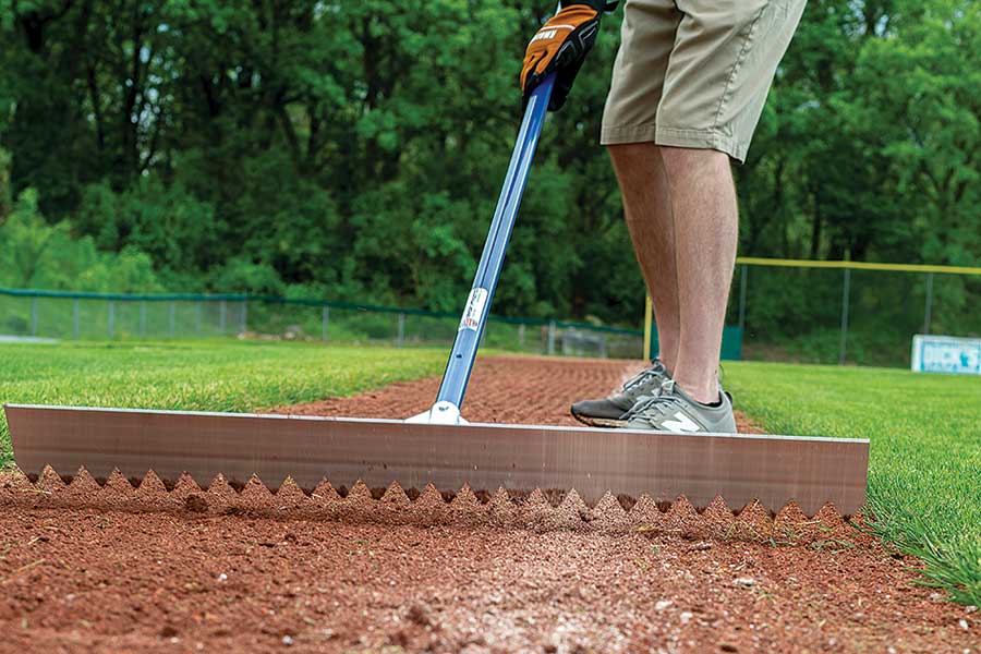 Beacon Infield Grooming Rake