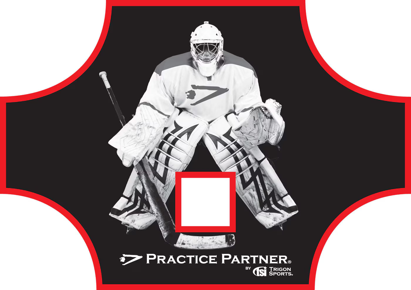 Practice Partner™ Hockey Goal Target