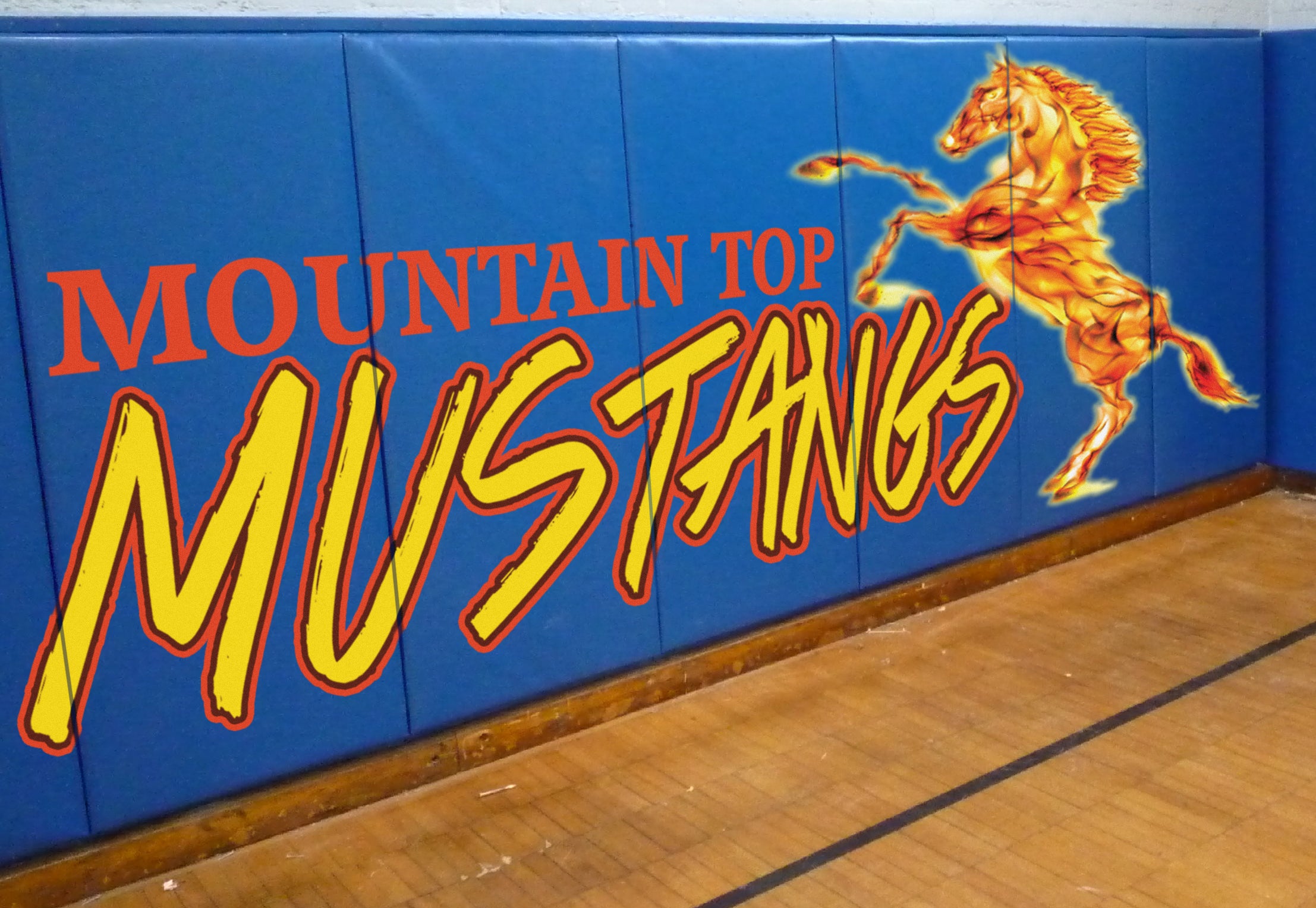 Aer-Flo (Fire Rated) Wall Pad -2" Foam