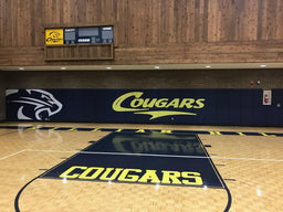 Aer-Flo Wall Pad Z-Channel - 6' Sections - Single