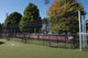 PRO Heavy-Duty Outdoor Batting Cage - Hoistable