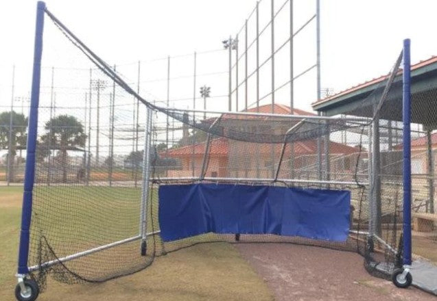 BP Hitter Pro