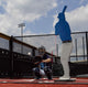The Designated Hitter® - Pitching Dummy & Training Aid