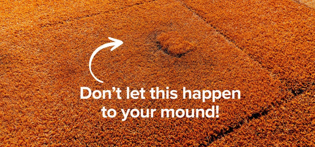 Pitching Mound Protector