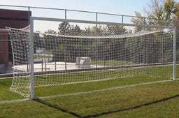 Objectif de football de la FIFA